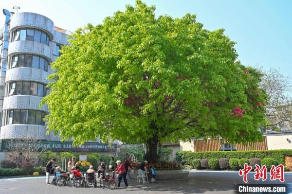 配资之家门户网站 广州发布“养老金融十二条” 扩大养老产业直接融资渠道
