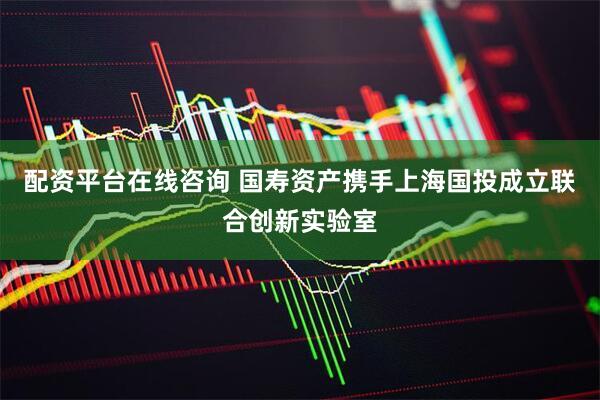 配资平台在线咨询 国寿资产携手上海国投成立联合创新实验室
