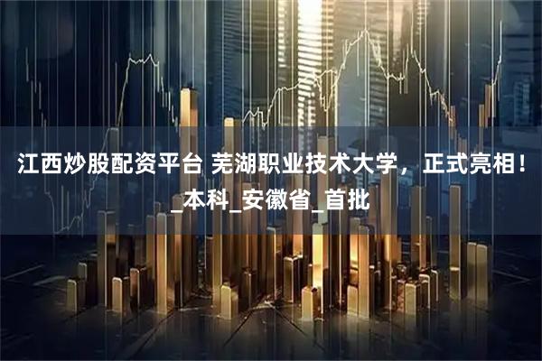 江西炒股配资平台 芜湖职业技术大学，正式亮相！_本科_安徽省_首批