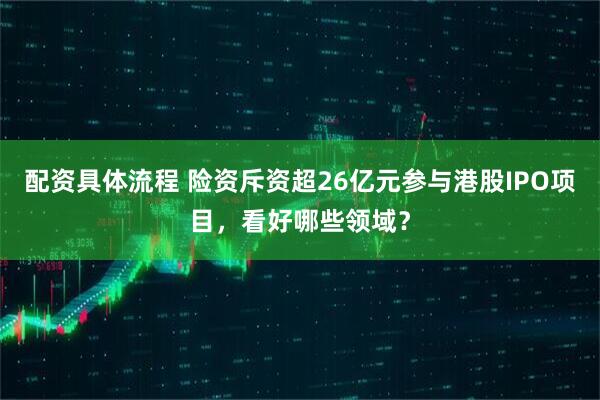 配资具体流程 险资斥资超26亿元参与港股IPO项目，看好哪些领域？