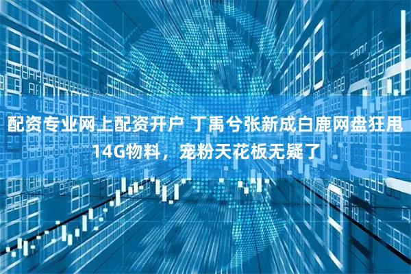 配资专业网上配资开户 丁禹兮张新成白鹿网盘狂甩14G物料，宠粉天花板无疑了