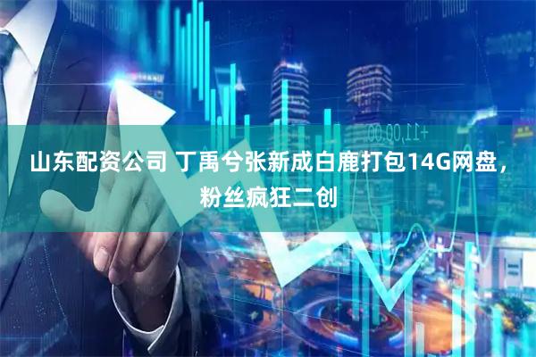 山东配资公司 丁禹兮张新成白鹿打包14G网盘，粉丝疯狂二创