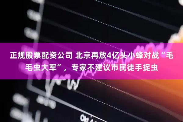 正规股票配资公司 北京再放4亿头小蜂对战“毛毛虫大军”，专家不建议市民徒手捉虫